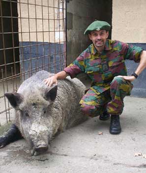 Mai 1940 : les chasseurs ardennais de l’armée belge “résistent” et “mordent” Stephan-atlas